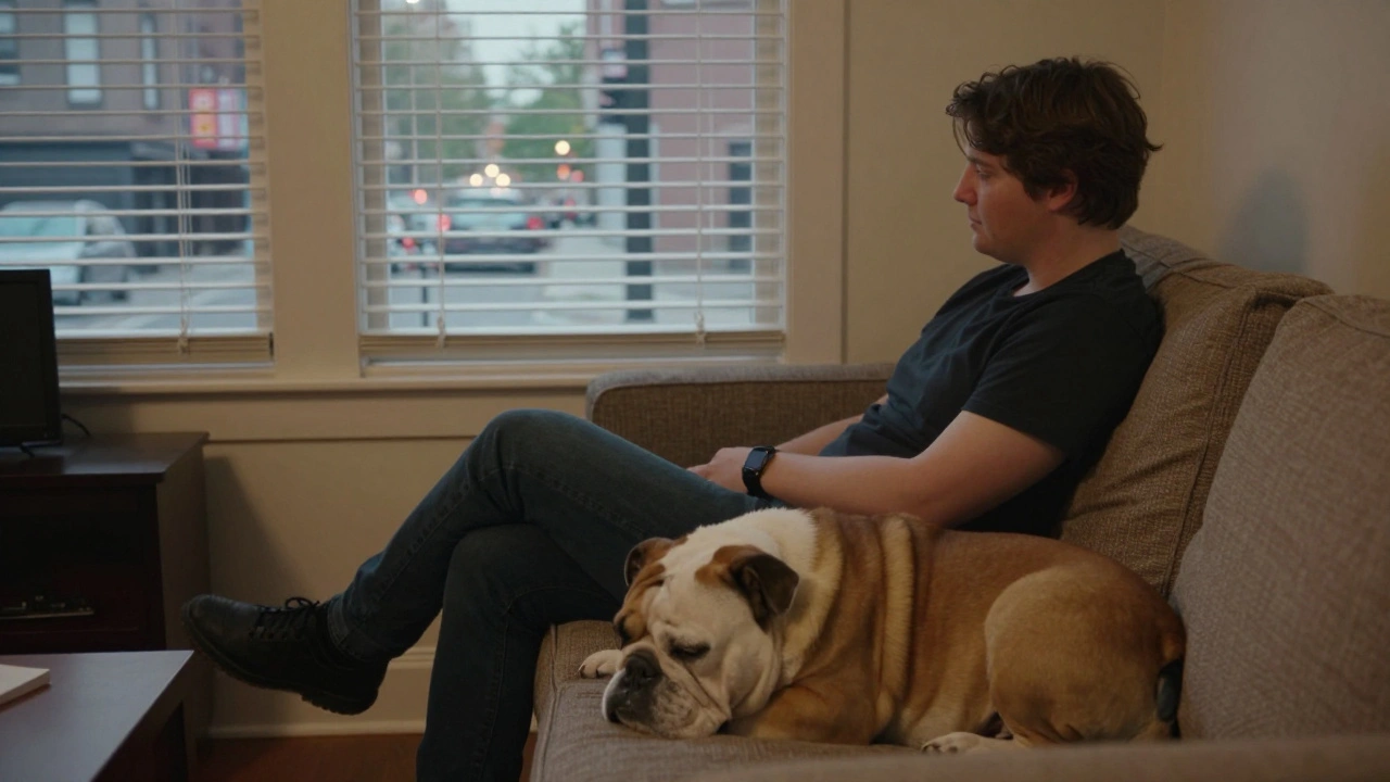 Finding Your Perfect Dog Breed Match: A Practical Guide