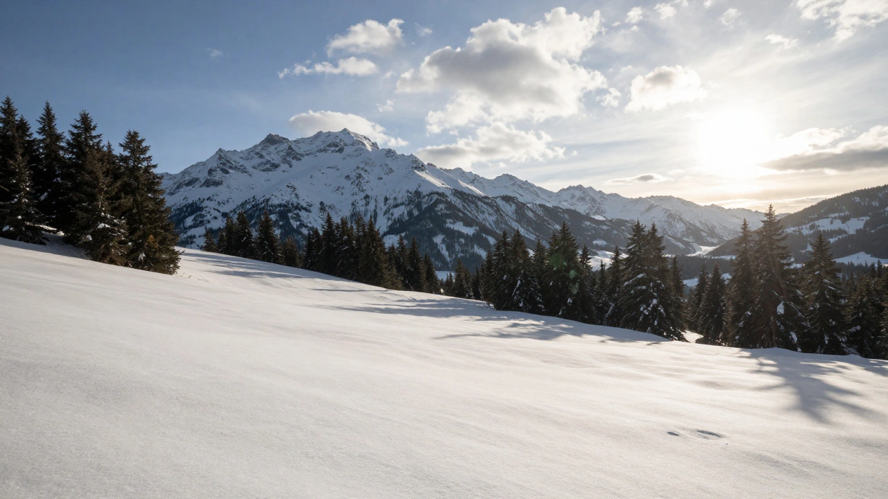 Navigating the Vet Visit: What to Ask